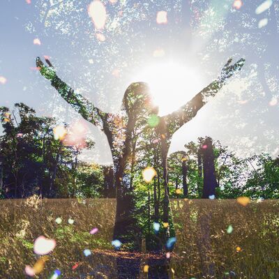 Kışın mutlu yaşamın sırrı: Friluftsliv