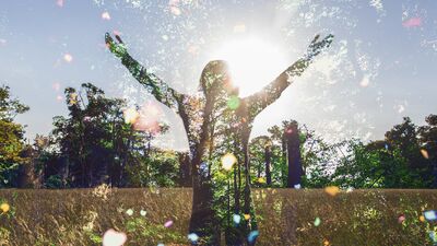 Kışın mutlu yaşamın sırrı: Friluftsliv