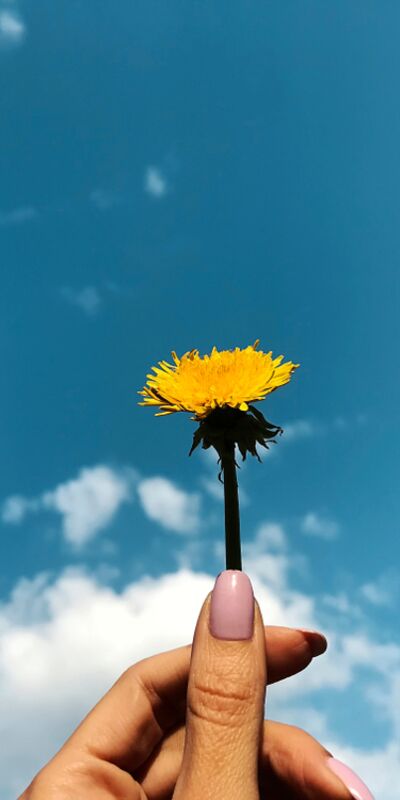 Hayatınıza pozitif dokunuş: 71 olumlama