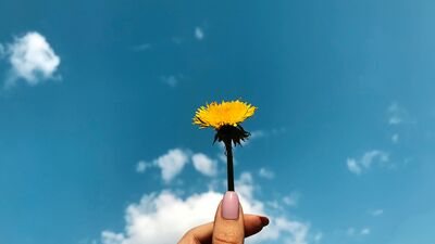 Hayatınıza pozitif dokunuş: 71 olumlama