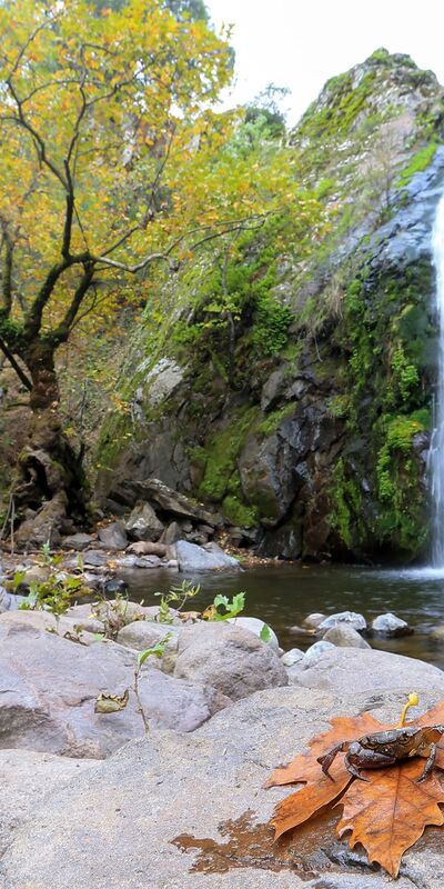 Yunt Dağları’nda hazan mevsimi