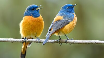 İçe dönük-dışa dönük ilişkisi imkansız mı?