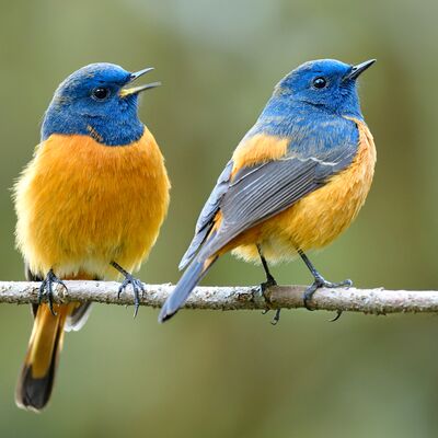 İçe dönük-dışa dönük ilişkisi imkansız mı?