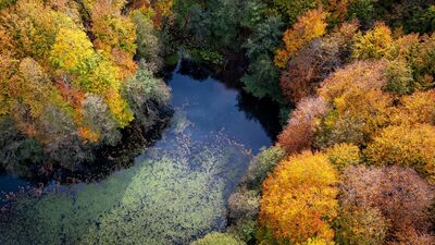 Sonbahar rotası: Yedigöller