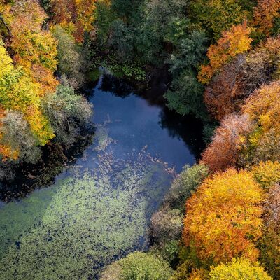 Sonbahar rotası: Yedigöller