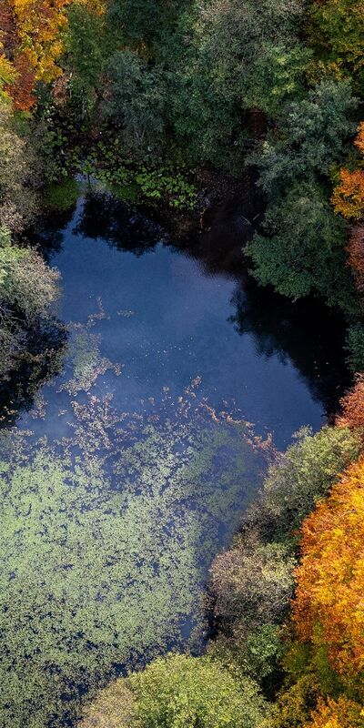 Sonbahar rotası: Yedigöller
