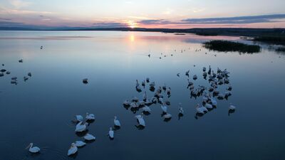 Manyas Kuş Cenneti&#039;nde gün batımı