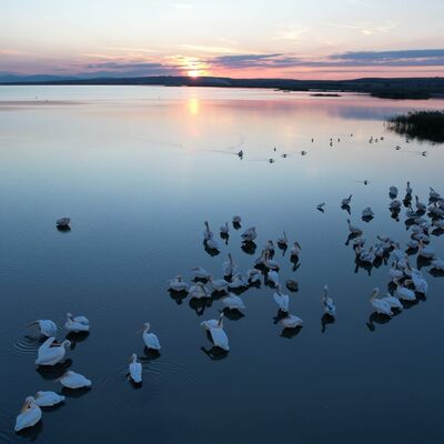 Manyas Kuş Cenneti'nde gün batımı