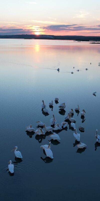 Manyas Kuş Cenneti'nde gün batımı