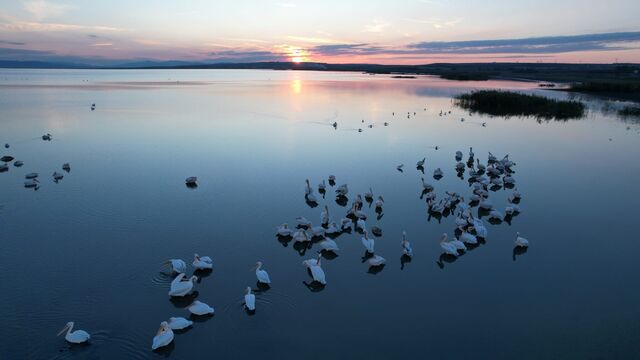 Manyas Kuş Cenneti&#039;nde gün batımı
