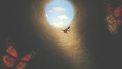 Hayattan neler öğrenebiliriz?