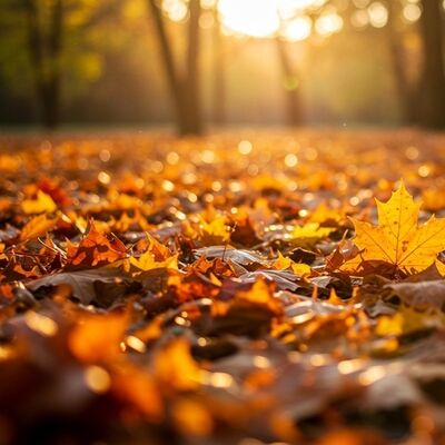 Köklerin kaderin değildir