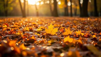 Köklerin kaderin değildir