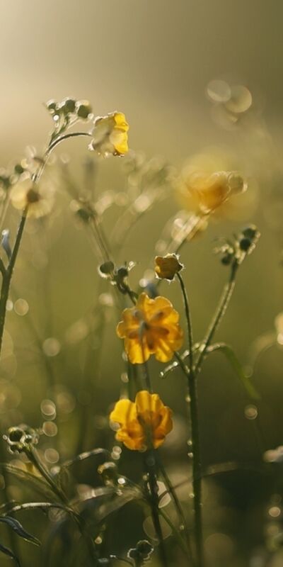 Pasif bekleyişten kurtulmak