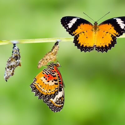 Yetişkinlik 32 yaşında başlıyor!