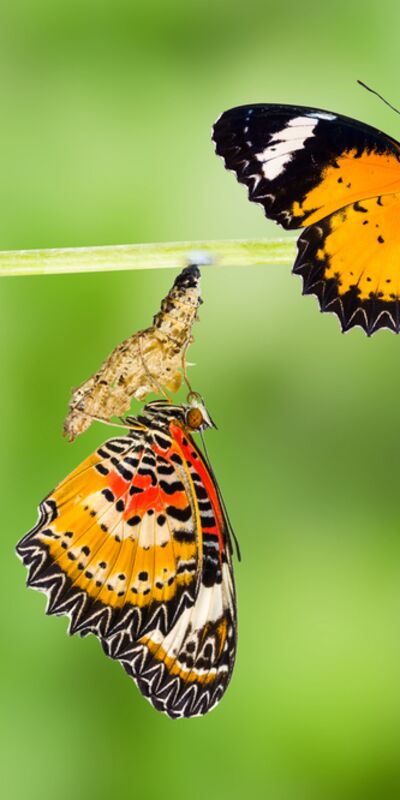 Yetişkinlik 32 yaşında başlıyor!