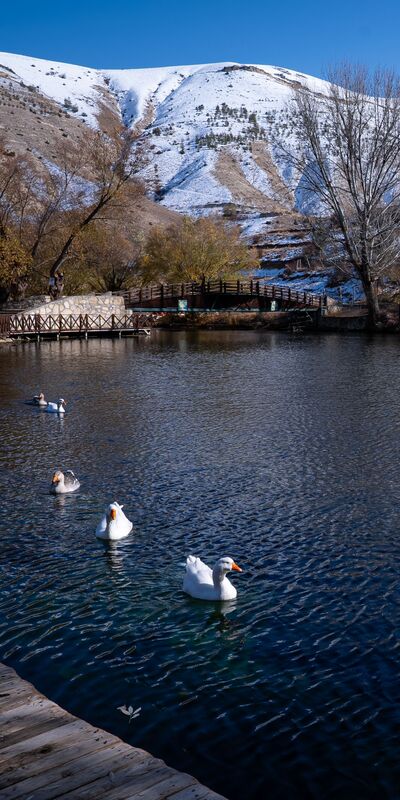 Anadolu’nun saklı cenneti Gökpınar Gölü