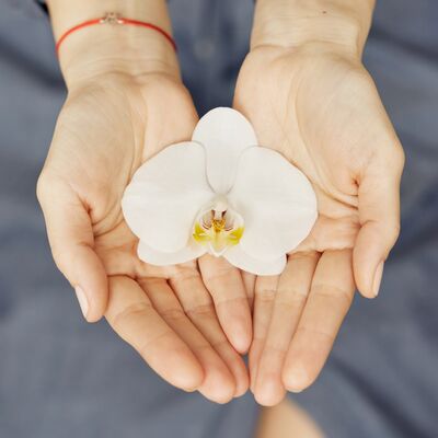 Gönüllü olmanın yaşamınıza 10 katkısı