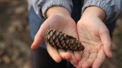 Şükretmek hormonlara ve uykuya iyi geliyor