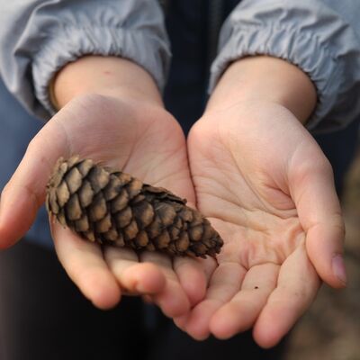 Şükretmek hormonları ve uykuyu dönüştürüyor