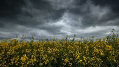 Erken kararan havalarda daha iyi hissetmek için…