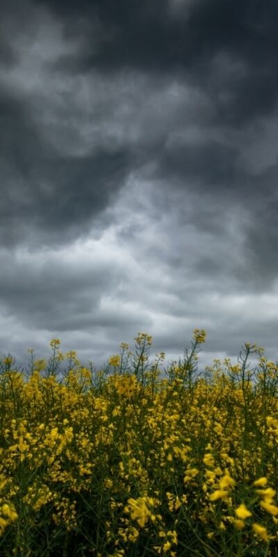 Erken kararan havalarda daha iyi hissetmek için…