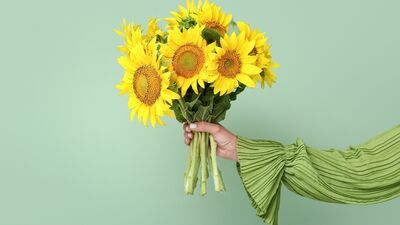 Sevgiye dair yeni bir bakış: Ayçiçeği teorisi