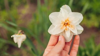 Mutluluğun anahtarı: Kendin ve dünya ile uyum