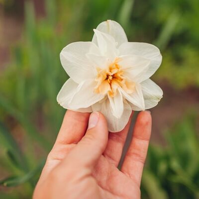 Mutluluğun anahtarı: Kendin ve dünya ile uyum