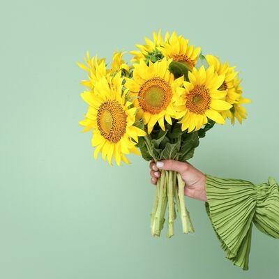 Sevgiye dair yeni bir bakış: Ayçiçeği teorisi