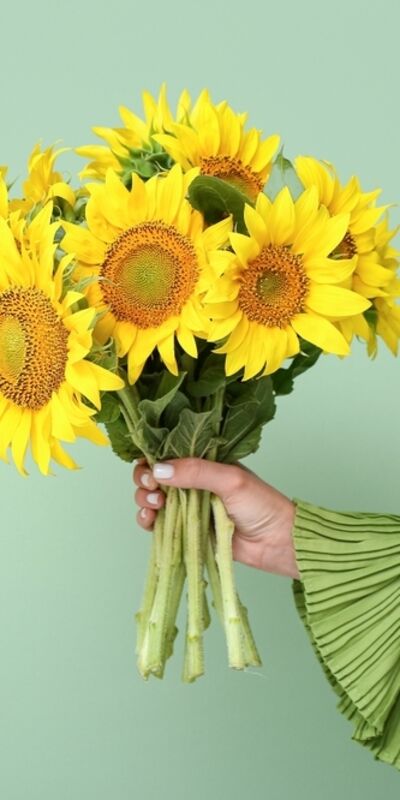 Sevgiye dair yeni bir bakış: Ayçiçeği teorisi