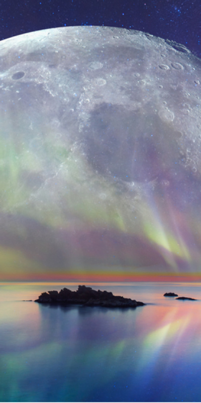 Günlük burç yorumları: 24 Aralık Çarşamba