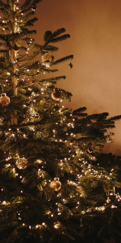 Yeni yıla girerken önerilerim