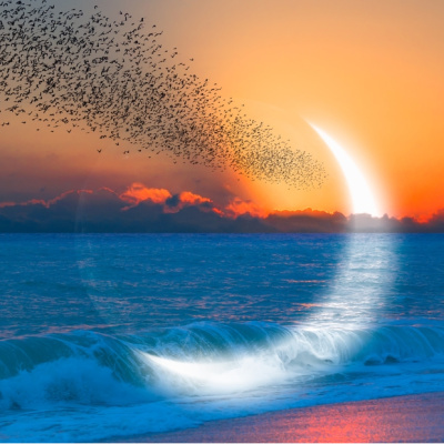 Günlük burç yorumları: 5 Ocak Pazartesi