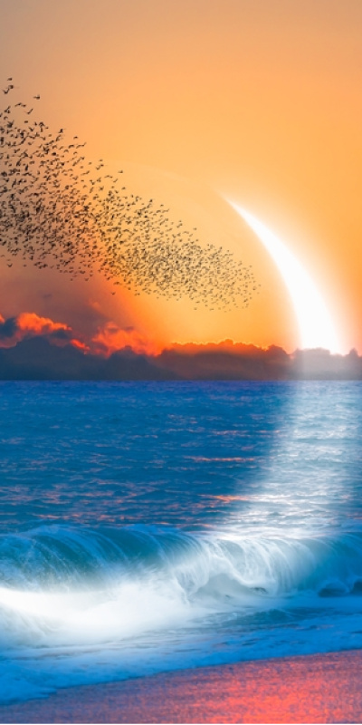 Günlük burç yorumları: 5 Ocak Pazartesi