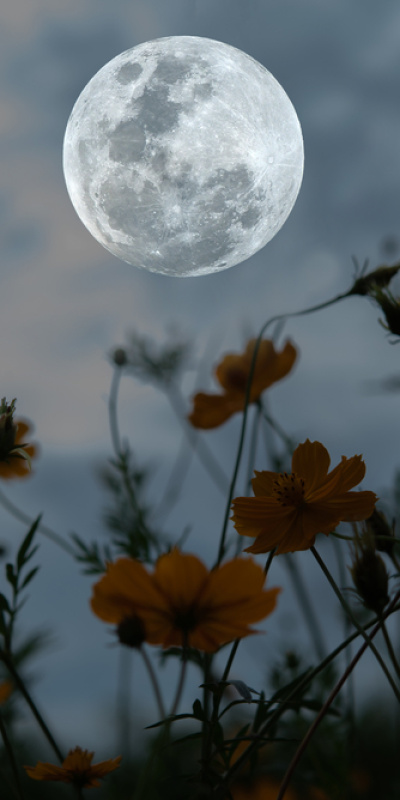 3 Ocak Yengeç burcunda Dolunay