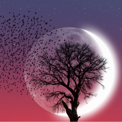 18 Ocak Oğlak burcunda Yeniay