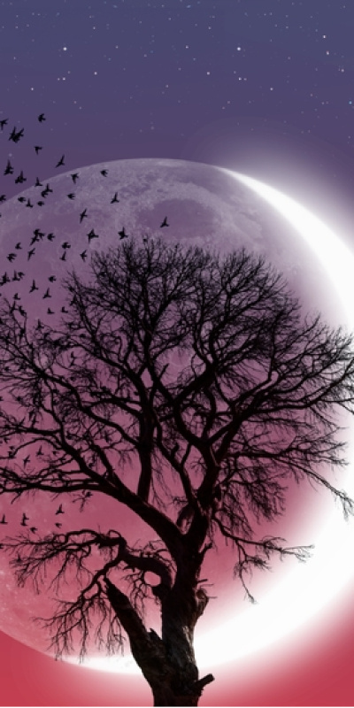 18 Ocak Oğlak burcunda Yeniay