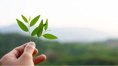 Kolektif bilinç uyanıyor mu? 