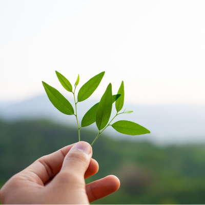 Kolektif bilinç uyanıyor mu?