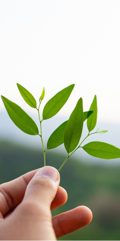 Kolektif bilinç uyanıyor mu?