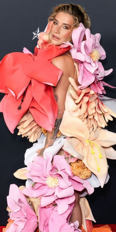 Kırmızı halı: 2026 Grammy Ödülleri