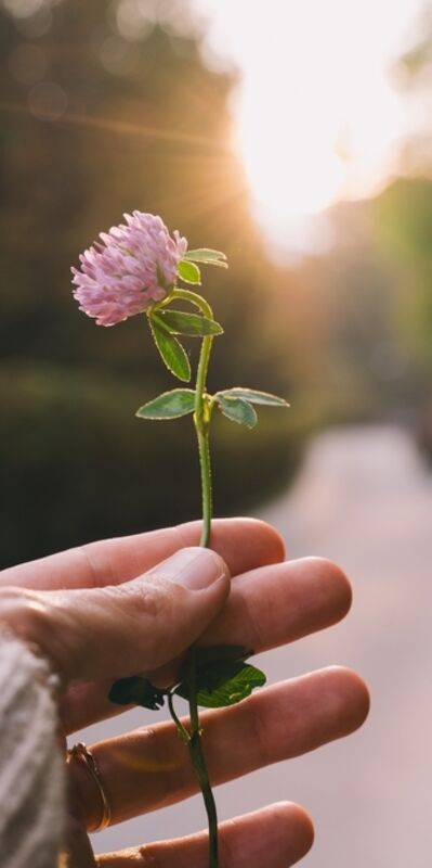 Hayal kırıklığını aşmanın ve ilerlemenin 14 yolu