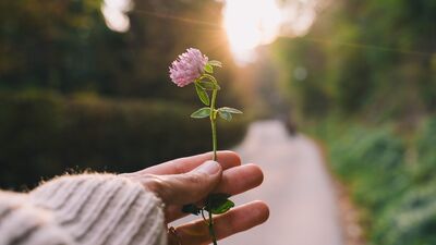 Hayal kırıklığını aşmanın ve ilerlemenin 14 yolu