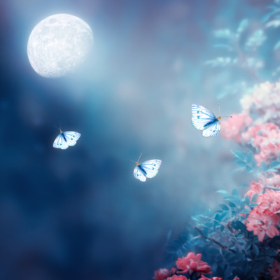 Günlük burç yorumları: 6 Şubat Cuma