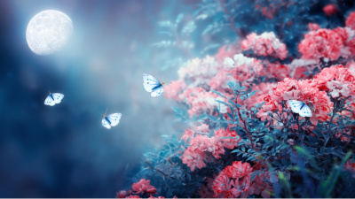 Günlük burç yorumları: 6 Şubat Cuma