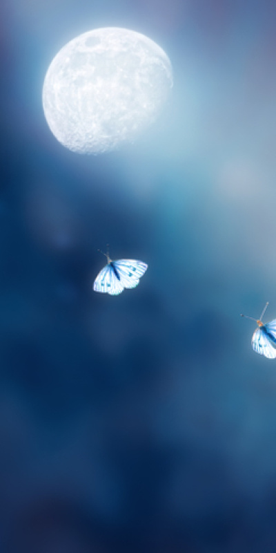 Günlük burç yorumları: 6 Şubat Cuma