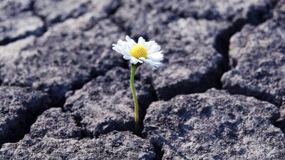 6 Şubat Depremi: Toplumsal hafıza ve bugün