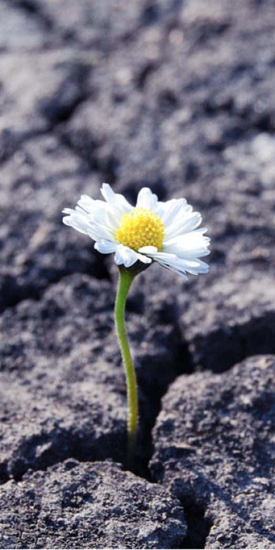 6 Şubat Depremi: Toplumsal hafıza ve bugün