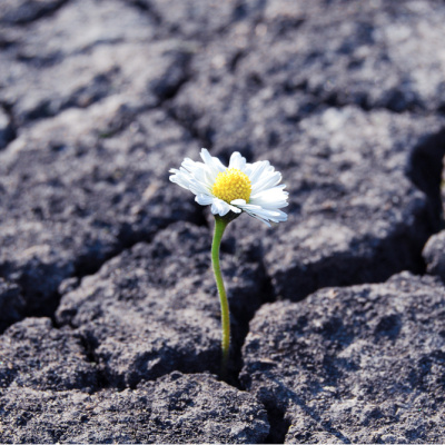 6 Şubat Depremi: Toplumsal hafıza ve bugün
